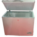 Congelatore STAYLUX Pozzetto 250 Litri Libera Installazione Silver: BD-250Q