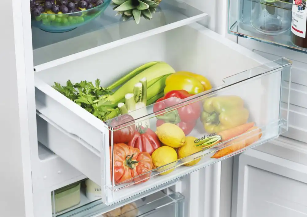 Frigorifero CANDY Combinato Statico Classe E 260 Litri Bianco CCT3L517EW - immagine 4